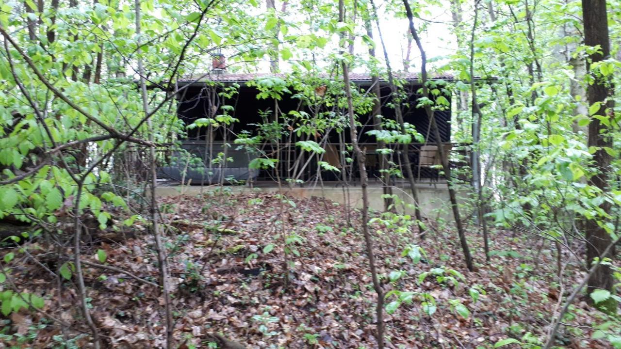 Waldhaus Wiesengrund Schwielochsee Exterior foto